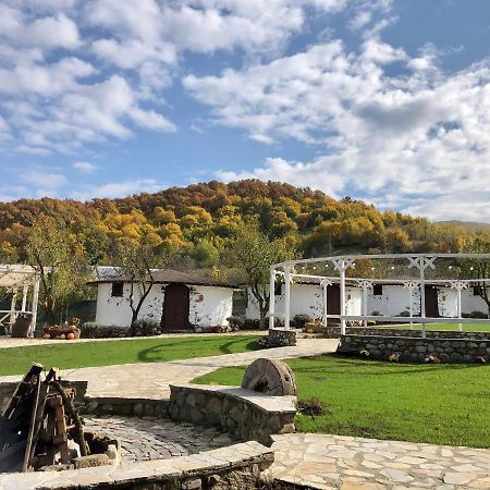 Satul Cu Flori Hotel Buzău Buitenkant foto