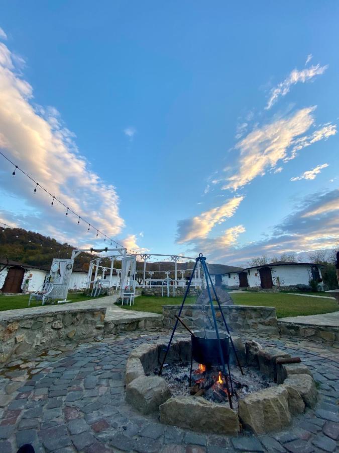 Satul Cu Flori Hotel Buzău Buitenkant foto