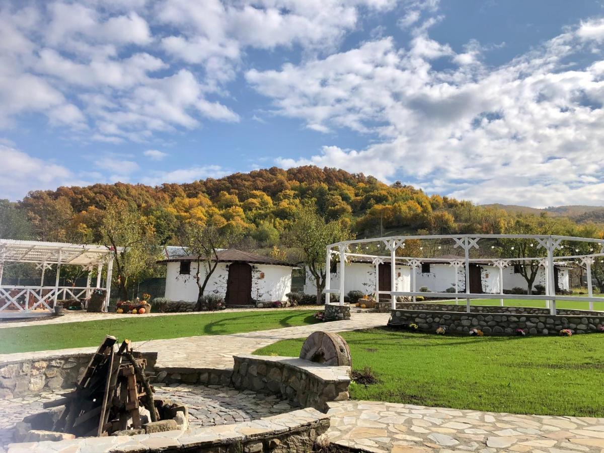 Satul Cu Flori Hotel Buzău Buitenkant foto