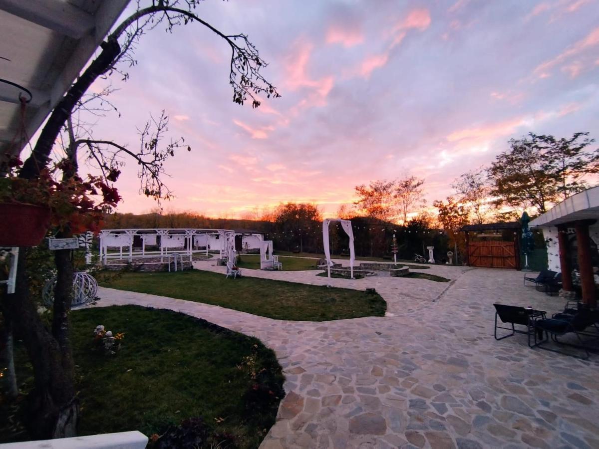 Satul Cu Flori Hotel Buzău Buitenkant foto