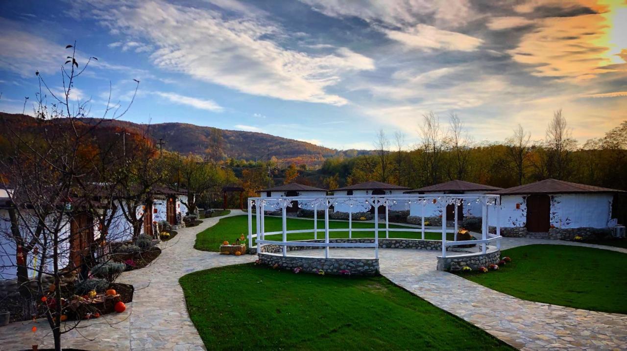 Satul Cu Flori Hotel Buzău Buitenkant foto